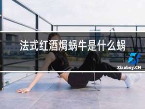 法式红酒焗蜗牛是什么蜗牛