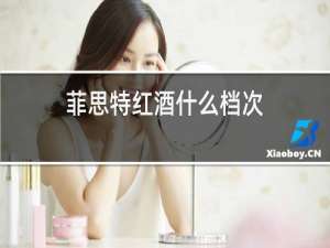 菲思特红酒什么档次