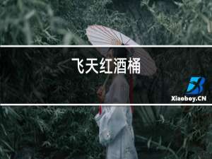 飞天红酒桶