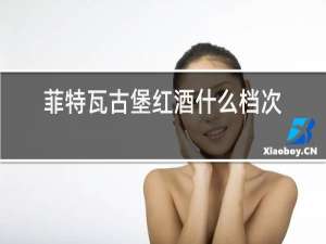 菲特瓦古堡红酒什么档次