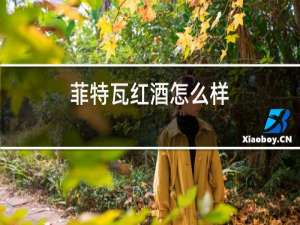 菲特瓦红酒怎么样