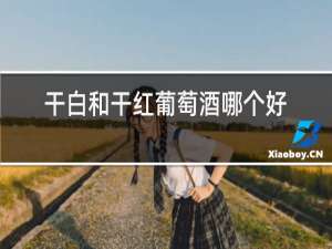干白和干红葡萄酒哪个好喝