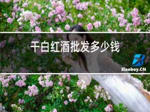 干白红酒批发多少钱