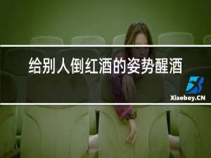 给别人倒红酒的姿势醒酒器