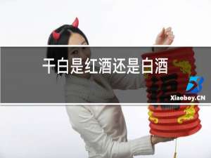 干白是红酒还是白酒