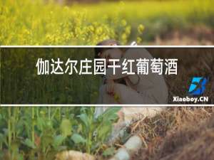 伽达尔庄园干红葡萄酒