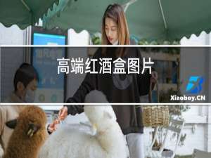 高端红酒盒图片