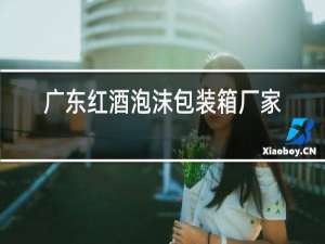 广东红酒泡沫包装箱厂家