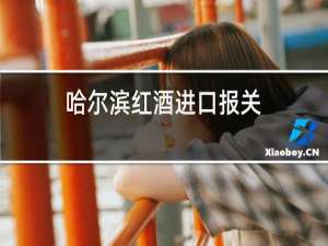 哈尔滨红酒进口报关