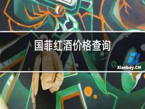 国菲红酒价格查询