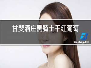 甘斐酒庄黑骑士干红葡萄酒