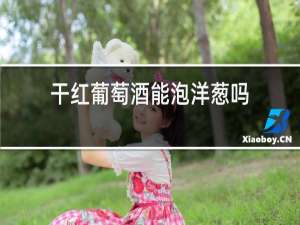 干红葡萄酒能泡洋葱吗