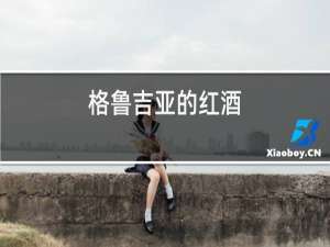 格鲁吉亚的红酒