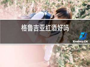 格鲁吉亚红酒好吗