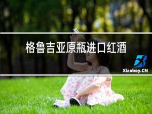 格鲁吉亚原瓶进口红酒