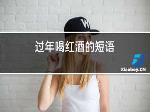 过年喝红酒的短语