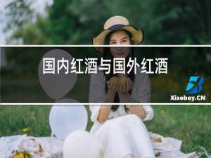 国内红酒与国外红酒