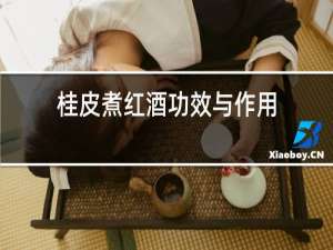 桂皮煮红酒功效与作用