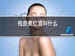 桂皮煮红酒叫什么
