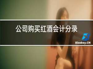 公司购买红酒会计分录