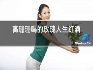 高珊珊喝的玫瑰人生红酒多少钱一瓶