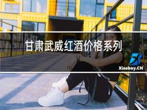 甘肃武威红酒价格系列