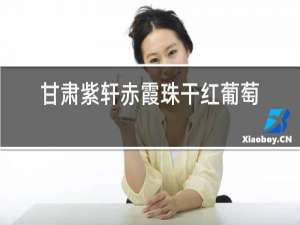 甘肃紫轩赤霞珠干红葡萄酒价格