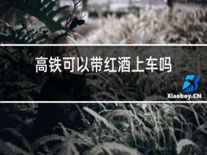 高铁可以带红酒上车吗