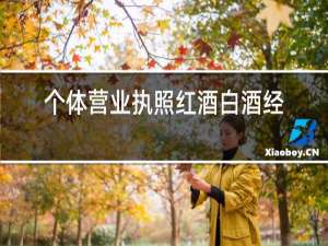 个体营业执照红酒白酒经营范围怎么写
