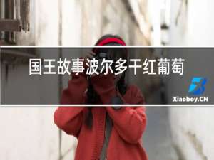 国王故事波尔多干红葡萄酒