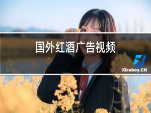 国外红酒广告视频