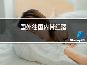 国外往国内带红酒
