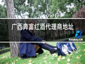 广西奔富红酒代理商地址