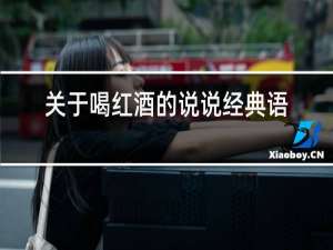 关于喝红酒的说说经典语录