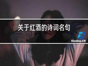 关于红酒的诗词名句