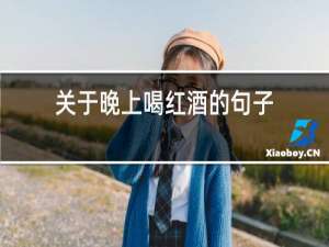关于晚上喝红酒的句子