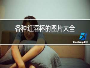 各种红酒杯的图片大全