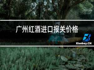 广州红酒进口报关价格