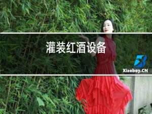 灌装红酒设备