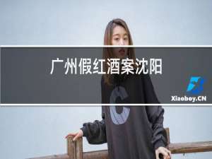 广州假红酒案沈阳
