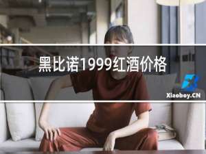 黑比诺1999红酒价格表