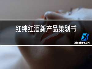 红纯红酒新产品策划书