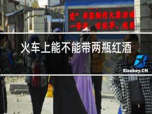 火车上能不能带两瓶红酒