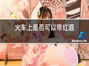 火车上是否可以带红酒