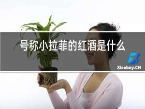 号称小拉菲的红酒是什么酒