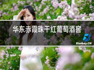 华东赤霞珠干红葡萄酒价格金尊