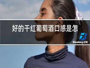 好的干红葡萄酒口感是怎么样的?