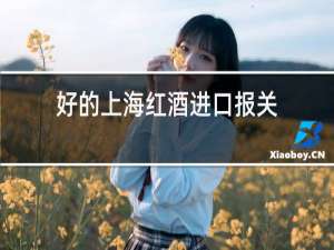 好的上海红酒进口报关