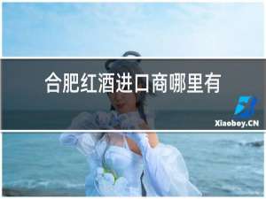合肥红酒进口商哪里有