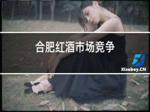 合肥红酒市场竞争